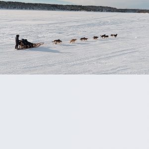 Airport Pickup Kiruna Dog Sled with Active Lapland