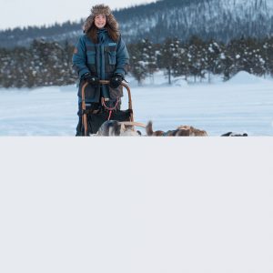 Drive your own sled dog team in Kiruna with Active Lapland