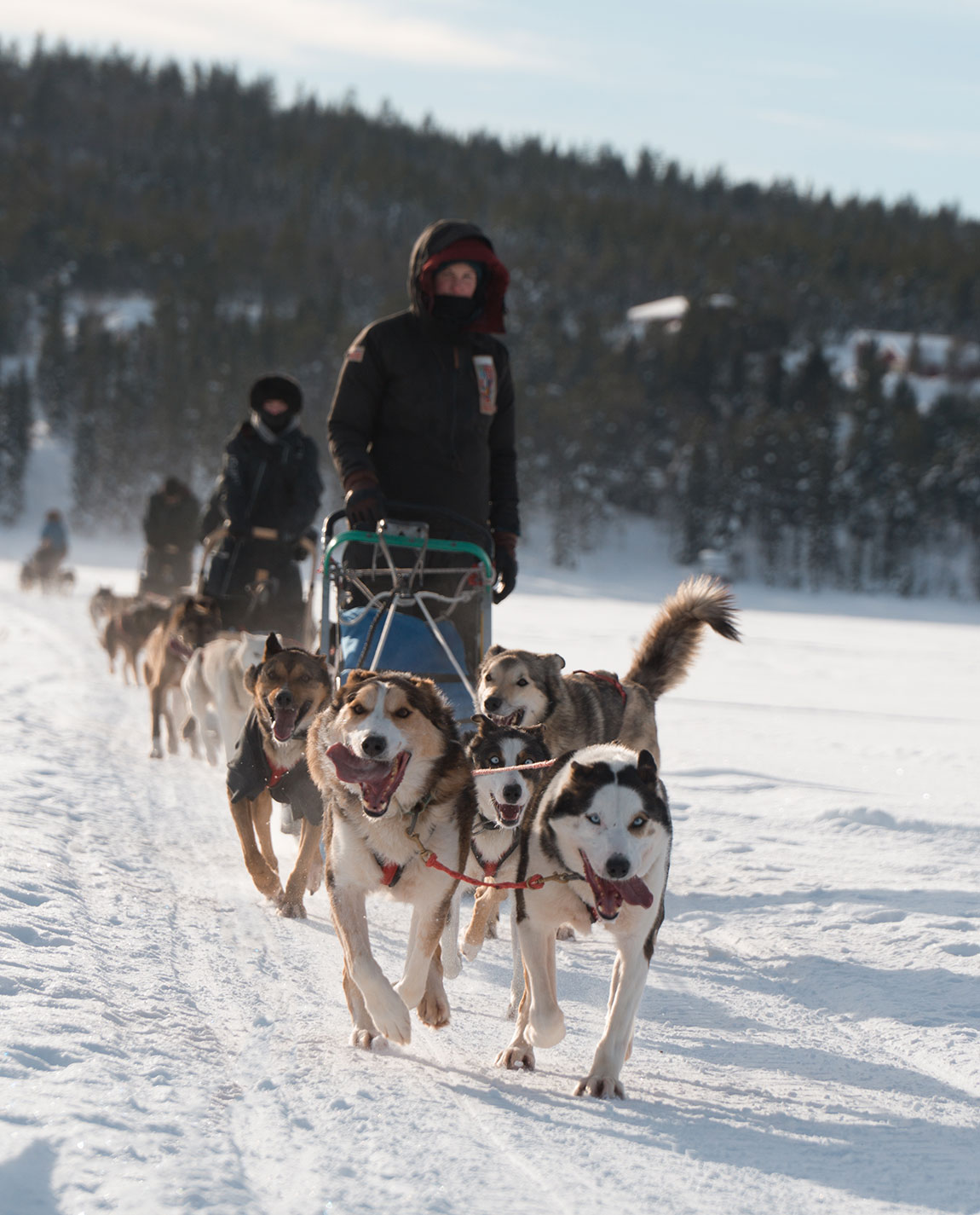 mushing