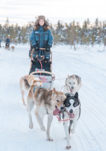 Active Lapland Sled Dog Trips in Kiruna