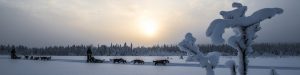 Faq about dog sledding in Swedish Lapland