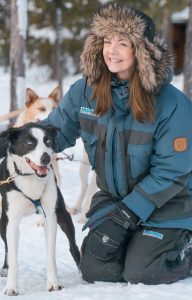 Acrive Lapland sled dogs in Kiruna
